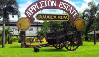 Appleton rum factory 3.