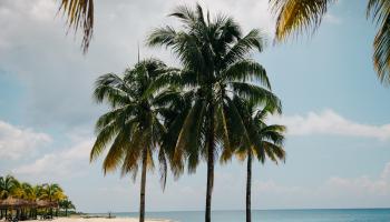 Seven mile beach.